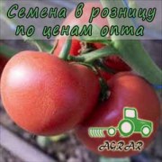 Купить семена томатов Панамера F1