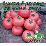 Купить семена томатов Пандароза F1