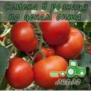 Купить семена томатов Панекра F1 в Украине