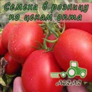 Купить семена томатов Пьетра Росса F1