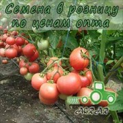 Купить семена томатов Пинк Буш в Украине
