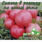 Купить семена томатов Пинк Буш F1