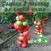 Купить семена томатов Пинк Делайт F1 в Украине