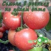 Купить семена томатов Пинк Клер F1