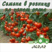 Купить семена томатов Пинк Парадайз F1 в Украине