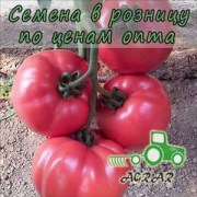 Купить семена томатов Пинк Роуз F1 в Украине