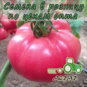 Купить семена томатов Пинк Роуз F1