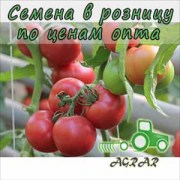 Купить семена томатов Пинк Шайн F1