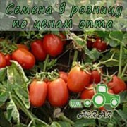 Купить семена томатов Платон F1 в Украине