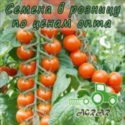 Купить семена томатов Порпора F1