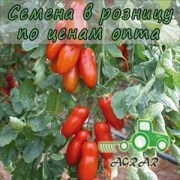Купить семена томатов Поззано F1 в Украине