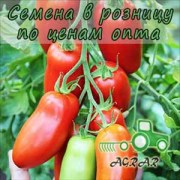 Купить семена томатов Поззано F1