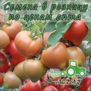 Купить семена томатов Риксос F1 в Украине