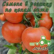 Купить семена томатов Риксос F1