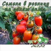 Купить семена томатов Рио Гранде в Украине