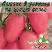 Купить семена томатов Розовый Новичок