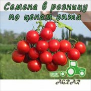 Купить семена томатов Руфус F1