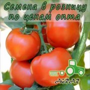 Купить семена томатов Сагатан F1