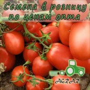 Купить семена томатов Семарол