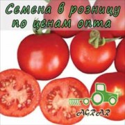Купить семена томатов Шаста F1