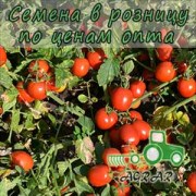 Купить семена томатов Шкипер F1