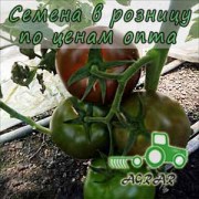 Купить семена томатов Силиври F1 в Украине