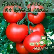 Купить семена томатов Солероссо F1