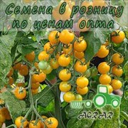 Купить семена томатов Стар Голд F1 в Украине