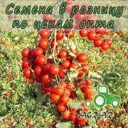 Купить семена томатов Стромболино F1 в Украине