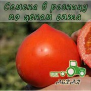 Купить семена томатов Супернова (Каста) F1