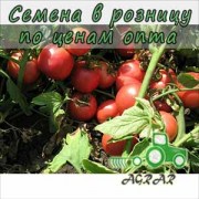 Купить семена томатов Тарпан F1 в Украине