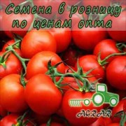 Купить семена томатов Терра Кота F1