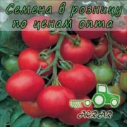 Купить семена томатов Толстой F1