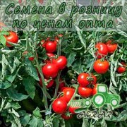 Купить семена томатов Топкапи F1 в Украине
