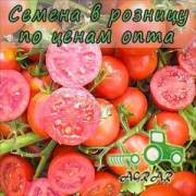 Купить семена томатов Уно Россо F1 в Украине