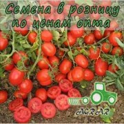 Купить семена томатов Уно Россо F1