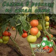 Купить семена томатов Васанта F1 в Украине