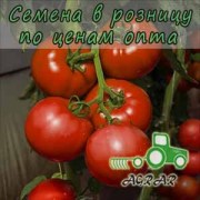Купить семена томатов Васанта F1