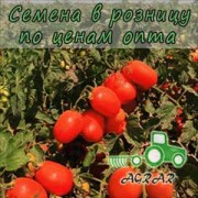 Купить семена томатов Велоз F1 в Украине