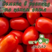 Купить семена томатов Велоз F1
