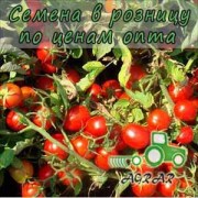 Купить семена томатов Волли Рэд F1 в Украине
