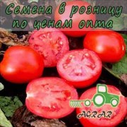 Купить семена томатов Волли Рэд F1