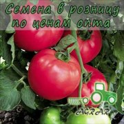 Купить семена томатов VP-1 F1 в Украине