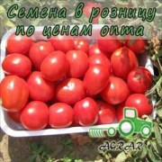 Купить семена томатов Вулкан F1