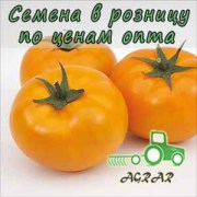 Купить семена томатов Ямамото (KS 10) F1