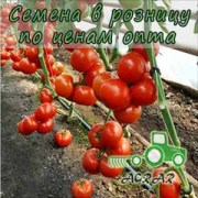 Купить семена томатов Зульфия F1 в Украине