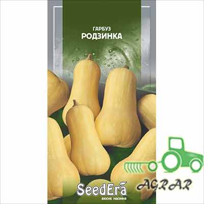 Тыква Изюминка – семена Seedera купить
